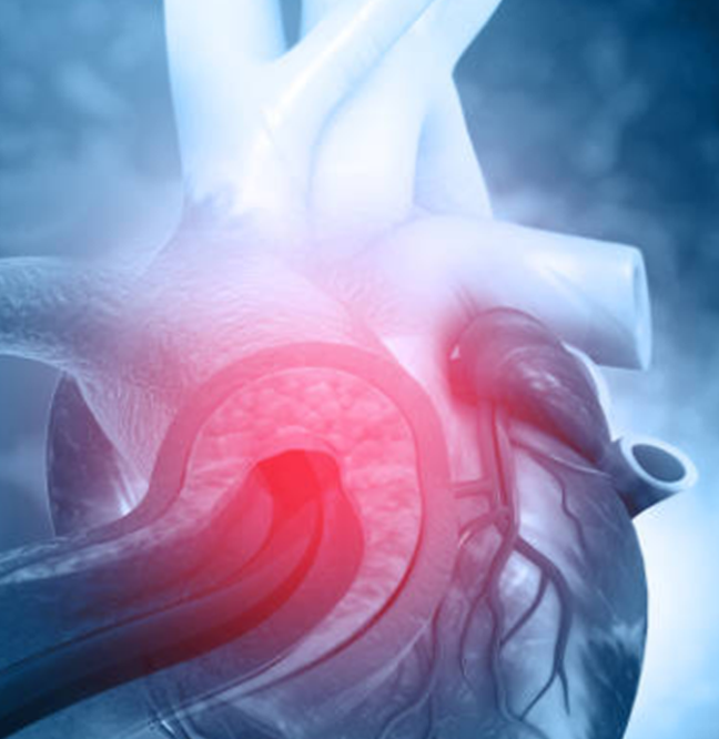 ¿Cuáles son los beneficios de acudir con los doctores cardiólogos?