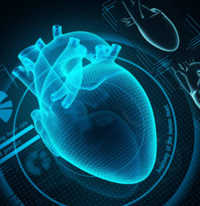 ¿Cómo encontrar al mejor cardiólogo en los cabos?